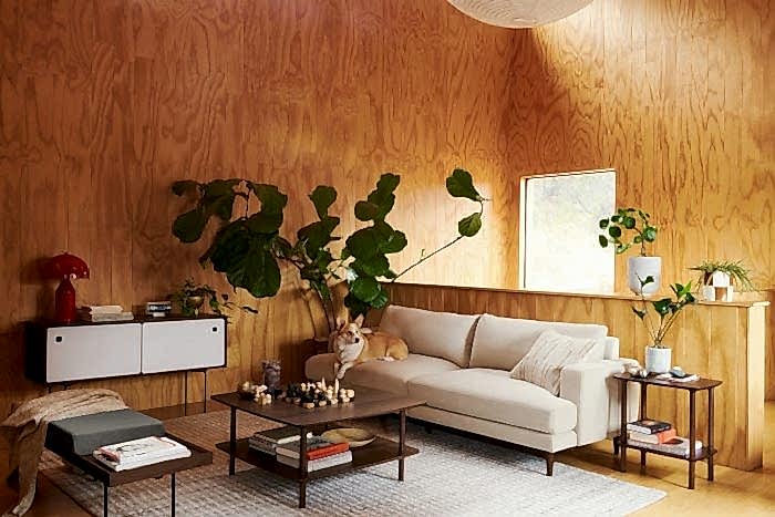 12 Small Living Room Furniture Options to Suit Your Cozy Space